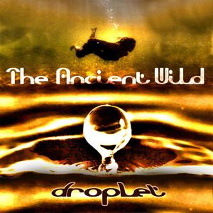 Droplet (feat. Akal Dub)