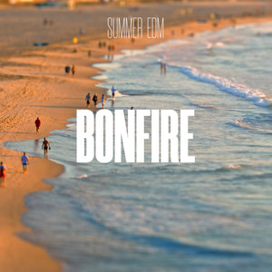 Summer EDM Bonfire