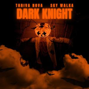 Dark Knight (feat. Sky Walka) (Radio Edit)
