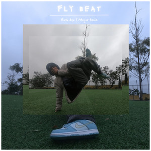 Fly Beat