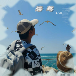 海鸥