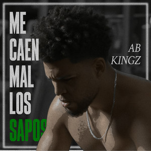 Me Caen Mal Los Sapos (Explicit)