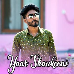 Yaar Shaukeeni