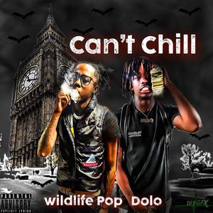 Cant Chill (feat. Wildlife Pop) [Explicit]