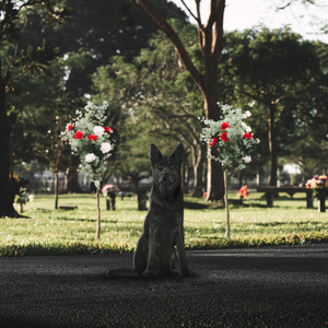 CROSSING THE STYX (Explicit)