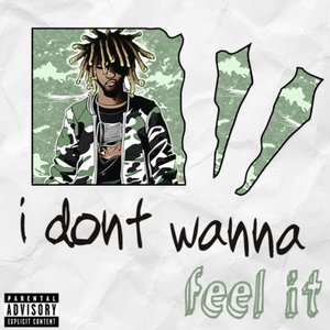 I Don't Wanna Feel It (Explicit)