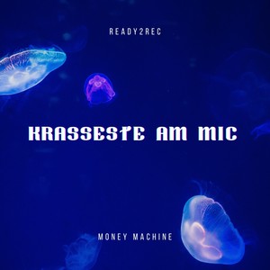 Krasseste am Mic