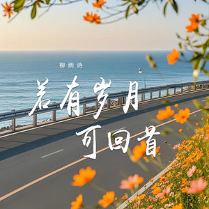 若有岁月可回首 (伴奏)