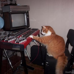 tired of it (feat. oafalls & oko) (Explicit)