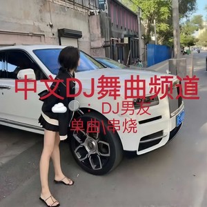 想你的夜-DJ 男友