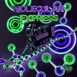 Molecular Express (Explicit)