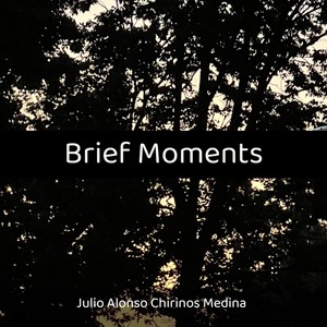 Brief Moments