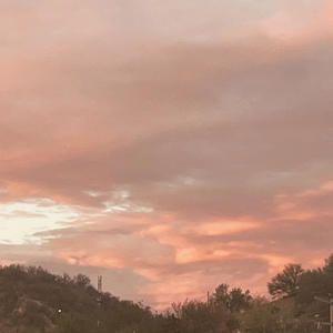 petricor noviembre - amor (feat. Clest)