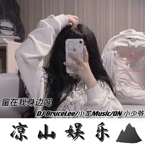 幻昼 (DJ旋律版)