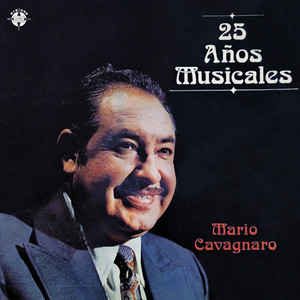 25 Años Musicales