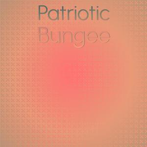 Patriotic Bungee