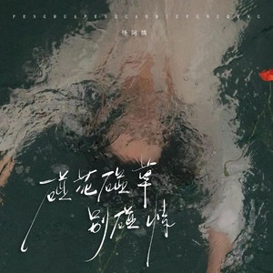 怪阿姨 - 碰花碰草别碰情