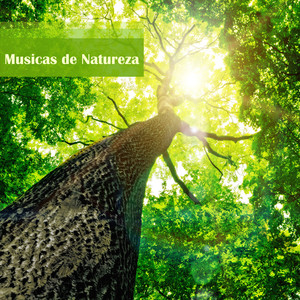 Musicas da Natureza - Musicas Relaxantes para Dormir com Som de Passaros, Sons da Chuva e de Agua