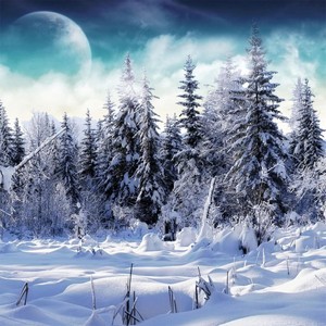 No Hay Vuelta Atrás