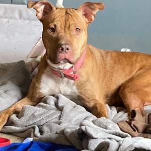 Outta lovv3 (feat. Lesoul & Neph) (Explicit)