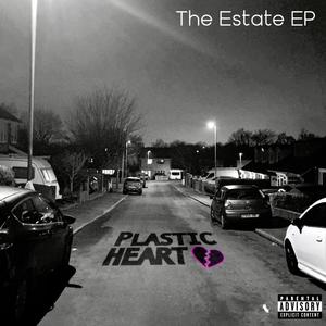 The Estate EP (demo) [Explicit]