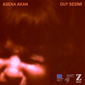 Duy Sesimi