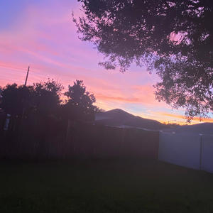 My way! (feat. Maajinkenji) (Explicit)