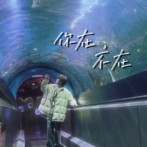你在，不在