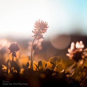 Hope For The Morning (Explicit)