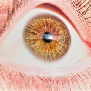 Snow Cloud, over Speke