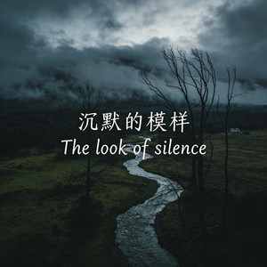沉默的模样