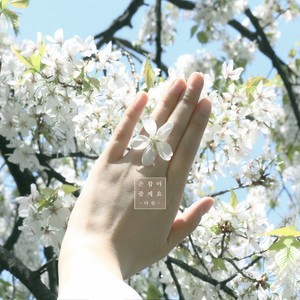 여름의 밤 (Summer night)