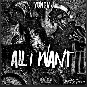 All I Want (Explicit)