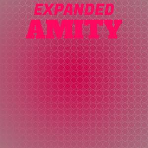Expanded Amity