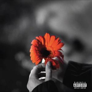 Mis sa teed? (Explicit)