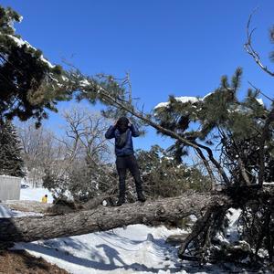 Pain N Struggle (Explicit)