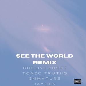 See The World (feat. Toxic Truths & Immature Jayden) [Remix] [Explicit]