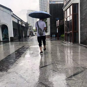 咏鹅