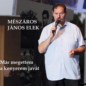 Már megettem a kenyerem javát (Live)