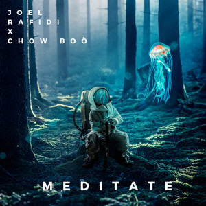 Joel Rafidi - Meditate