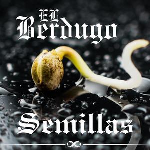Brillando (feat. Negro Ramón) [Explicit]