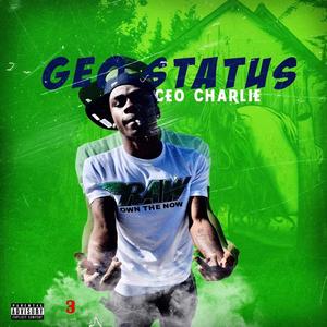 GEO Status (Explicit)