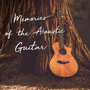 回忆时光．民谣吉他 (Memories of the Acoustic Guitar)