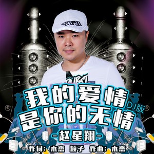 我的爱情是你的无情 (DJ版)
