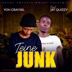 Teine junk (am not a junk) (feat. Jay quizzy)