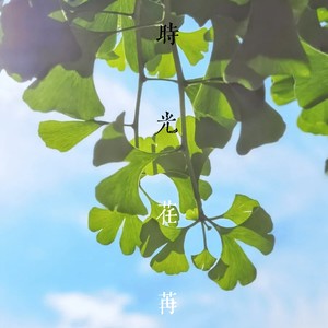 时光荏苒