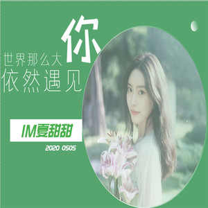 世界那么大依然遇见你