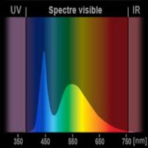 Spectral (Explicit)