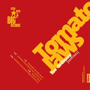 Too Ordinary (Alexander Kostruba Remix)