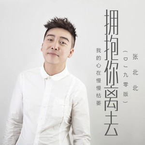 拥抱你离去(我的心在慢慢枯萎) (DJ九零版)